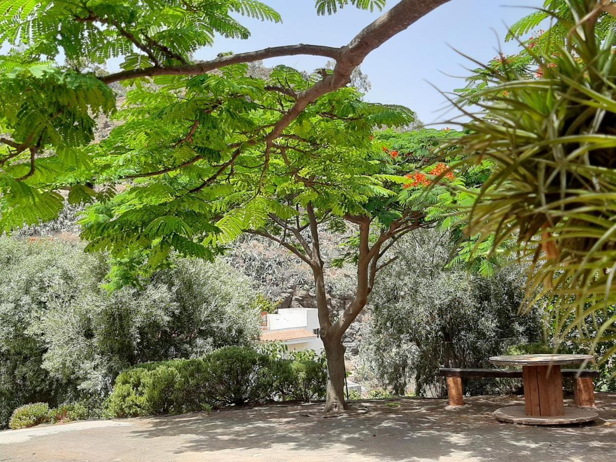 فيلا Peaceful House Set On A Vineyard & Work Friendly فاليسكيو المظهر الخارجي الصورة