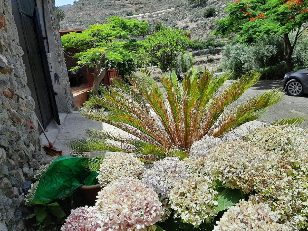 فيلا Peaceful House Set On A Vineyard & Work Friendly فاليسكيو المظهر الخارجي الصورة
